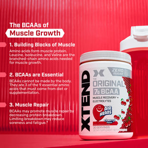Scivation Xtend Original 7g BCAA 30 Servings